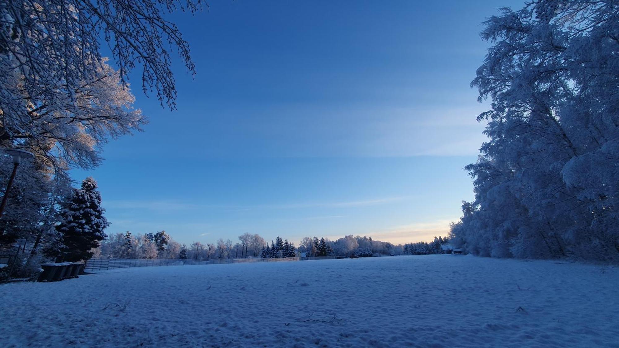 Ferienwohnung Am See Kromlau Buitenkant foto